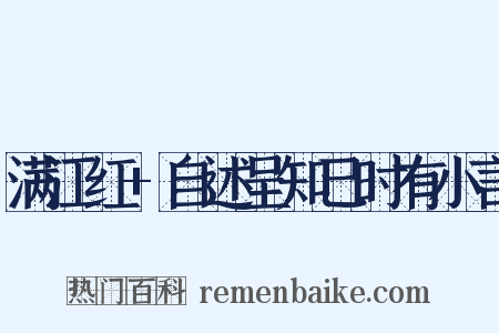 满江红 自述呈知己时有小言是什么意思的图片